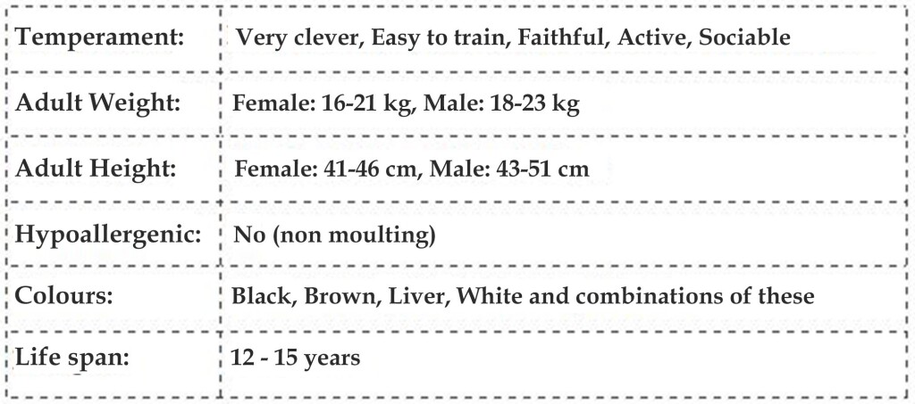 Sproodle Info