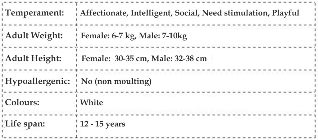 Westiepoo Info